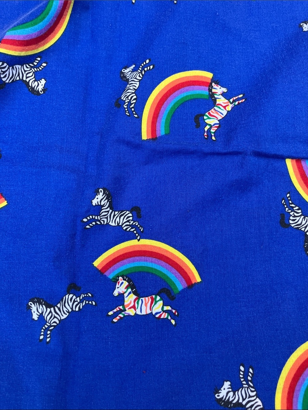 Rainbow zebras vintage pillowcase
